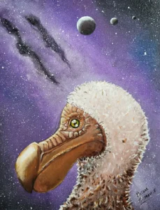 4 Cosmic Dodo